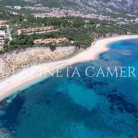 Casa Vacanza Gelsomino Кала-Гононе Экстерьер фото